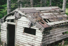 Last of the Virgin Cove tilts, owned by the Fulfords. Fergus paid $10 for the stove to Mick Casey when he lived in Bona.&amp;nbsp; Wayne has the stove door on his cabin wall.
Photo credit: Paddy Hann 2007